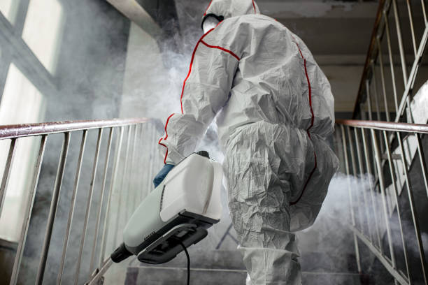 Best Mold Odor Removal Services  in Mineral Point, WI